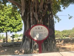 -广东圆玄道观