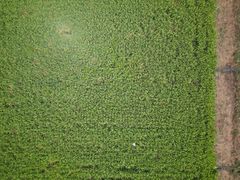 -桤木河湿地公园