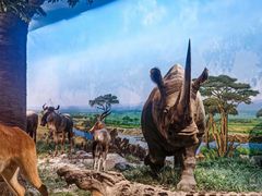 -国家自然博物馆