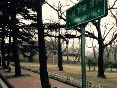 iphone_upload_pic-八大关景区