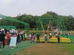 -大塘金香草谷