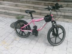 -道路口单车爱瓦士dahon大行