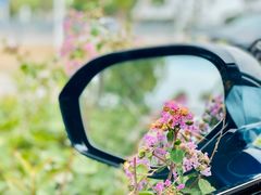 -渔娘蟹庄(阳澄湖莲花岛店)