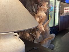 -生如夏花泰式火锅(西村黑金店)