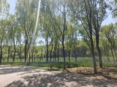 -东郊湿地公园