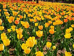 -长春公园(普阳街道)