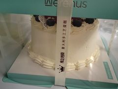-维尔纳斯·生日蛋糕·动物奶油冰淇淋蛋糕(六里桥店)