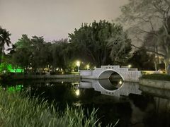 -金砂公园