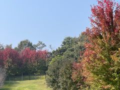 -北京宽沟会议中心