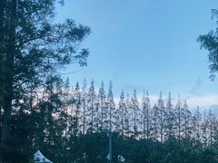 -前小桔亲子创意农场·草莓采摘·露营烧烤