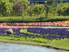 -春花秋色城市公园