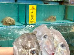 -有腥气私房菜·寻味顺德