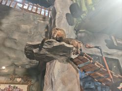 -Zoolung Zoolung动物主题公园(海信广场店)