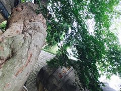 -青岛崂山太清宫