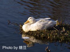 -月牙潭公园