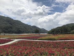 -广州市石门国家森林公园