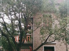 -星巴克臻选(思南公馆店)