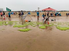 -青岛银沙滩温德姆至尊酒店