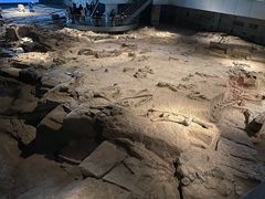 -自贡恐龙博物馆