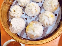 -莱莱小笼·乔艾