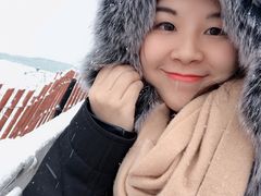 -尼亚加拉瀑布州立公园