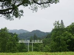 -云溪植物园