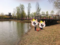 -东郊湿地公园