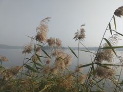 -颐和园-景明楼