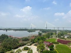 -芒洲湿地公园