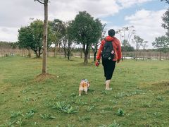 -上海海湾国家森林公园