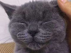 -PETKIT 小佩宠物·低压洗护·美容·寄养(安远店)