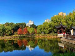 -和平公园