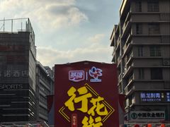 -越秀西湖花市(广州城市广场花卉店)