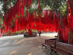 -西双版纳勐泐文化旅游区