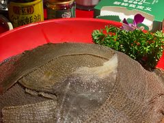 -二荆条·蜀鲜汇城市森林火锅