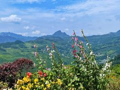 -重庆睡佛山森林公园