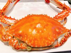 -奔海甄选·活鲜刺身铁板烧自助(太原里店)