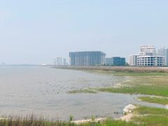 -碧海金沙