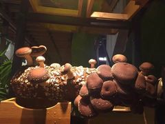 -大头椰·椰子鸡火锅(南宁万象城店)