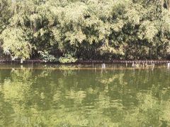 -城市运动公园(未央区)