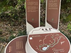 -十八棵（老龙井）御茶园(老龙井店)