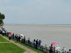 -观潮胜地公园