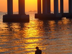 -宝安西湾红树林湿地公园