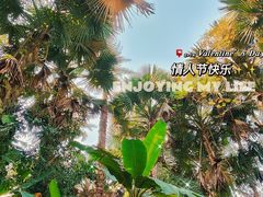 -曼听御花园