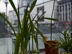 -观塘港茶餐厅(八一大道店)