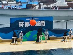 -秦皇岛乐岛海洋王国