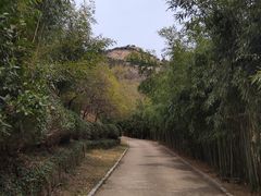 -石老人观光园