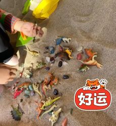 -寻石问宝研学亲子乐园(朝阳公园店)