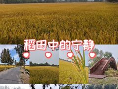 -嘉北郊野公园