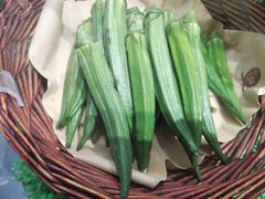 -鸽子窝(青塔店)